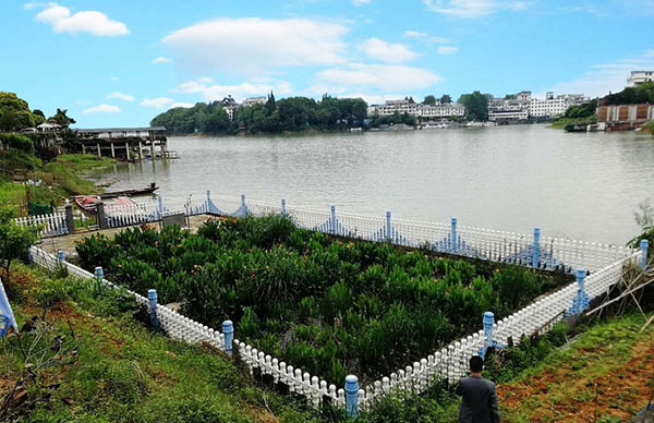 農村生活汙水小黄鸭黄APP下载存在的問題有哪些