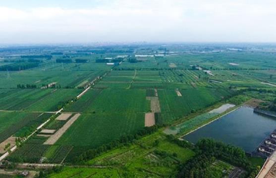 農村生活汙水小黄鸭黄APP下载承包公司哪裏有？